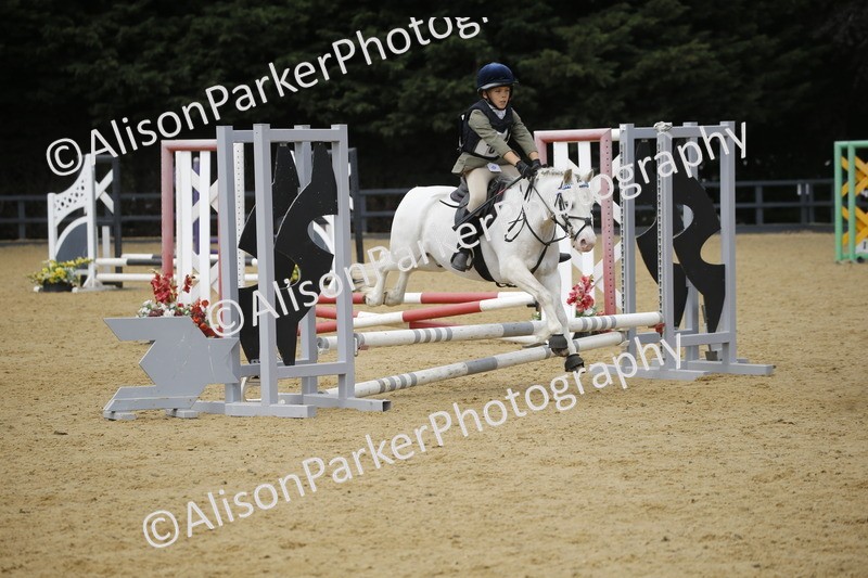 20250622-3973 - 50cm