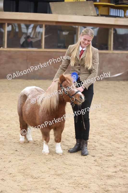 20251109-0387 - Class 14 - Geldings 4 Years and Over