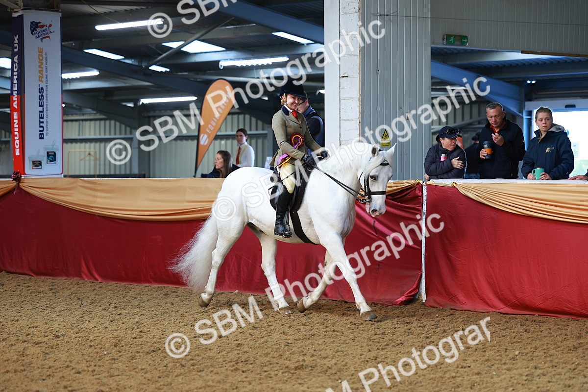 SBM_07774 - Class 101 - HOYS Veteran Qualifier - Ridden Diamond