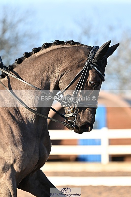 241214-143259-02877 - 139-Holly.Kerslake-Platinum.Cabachon