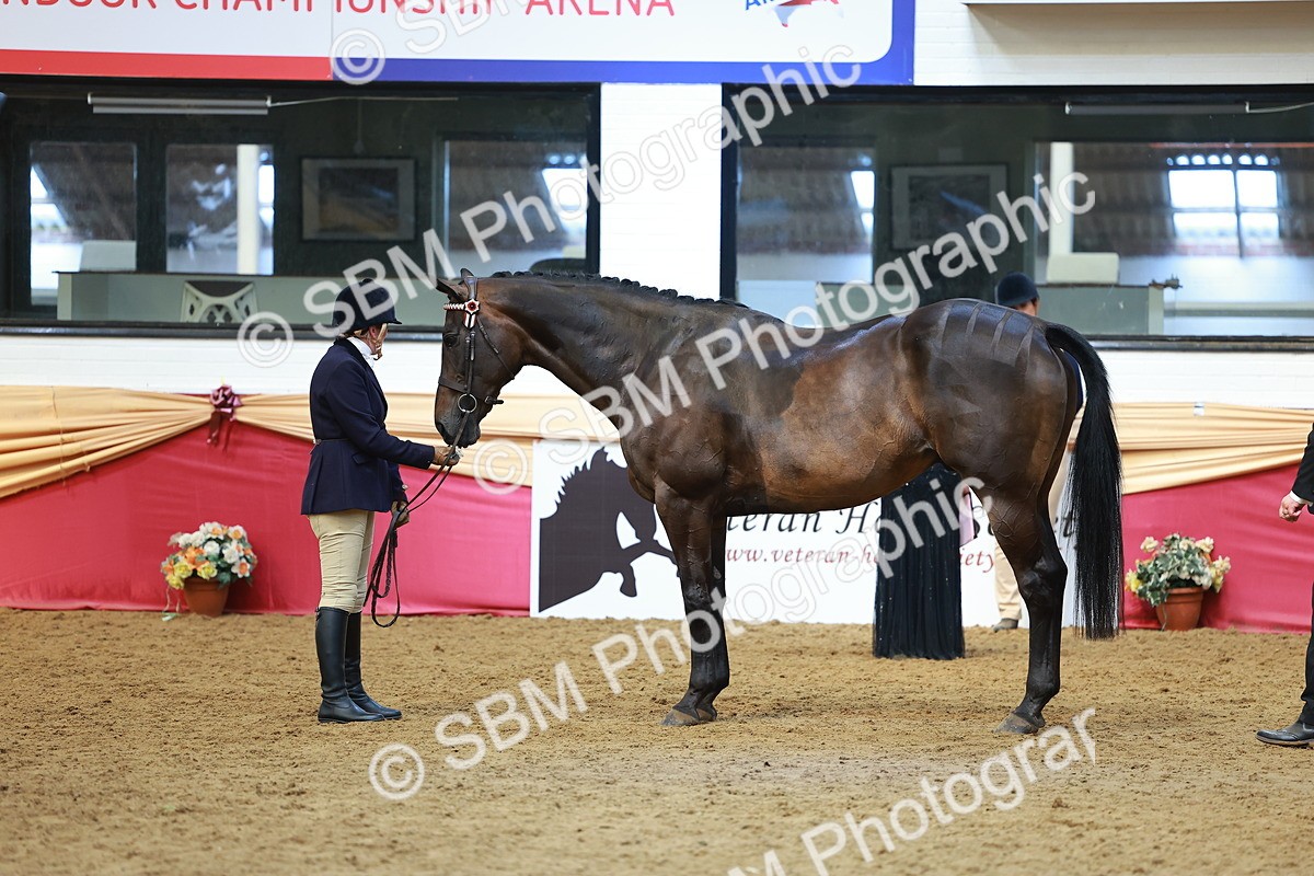 SBM_20104