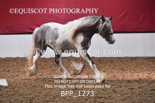 BPP_1273 - MORNING 9AM - 12PM