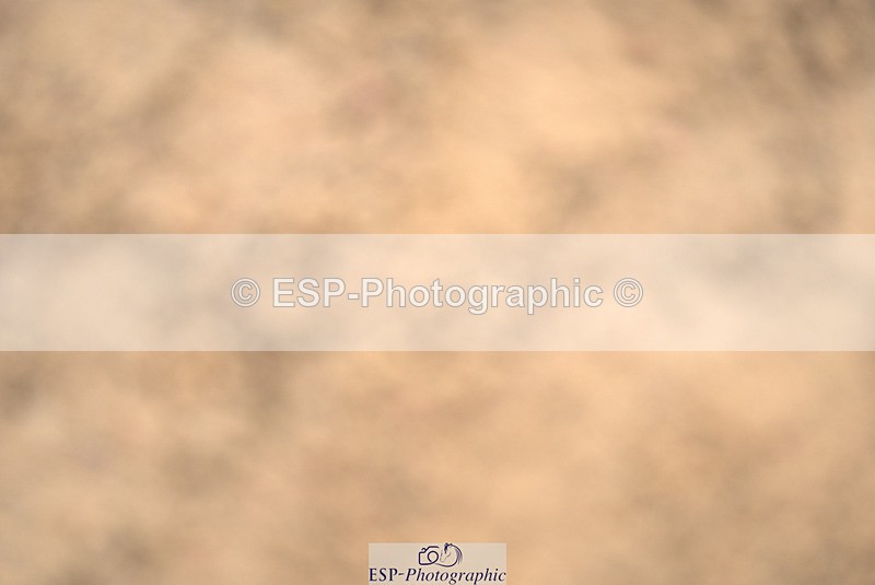 240317A-104528-05163 - Cls 25 Snr 1.20m Open