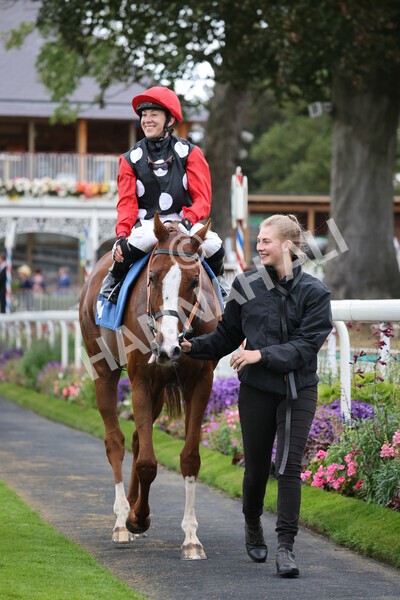 yr24092021r6-39 - Race 6 4.25pm William Hill Pick Your Places Stakes