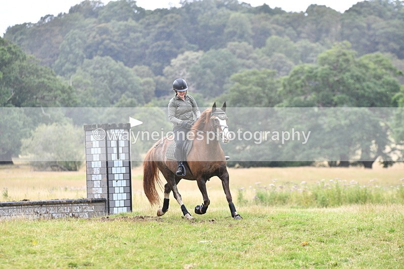 WJ5_2999 - Time at Jump 14:47 to 15:17