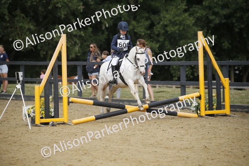 20250622-3604 - 50cm