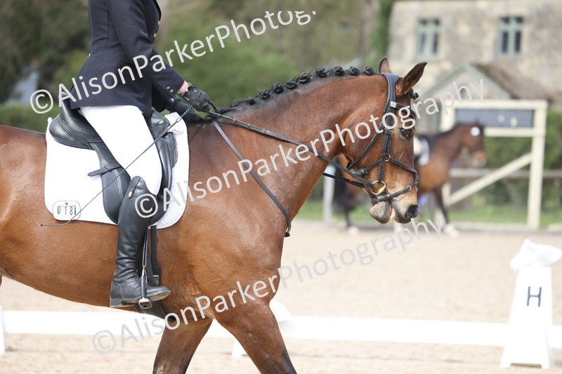 20260404-0829 - Class 5 - Novice 2