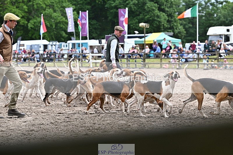 250524A-152219-12697 - East Devon Hounds