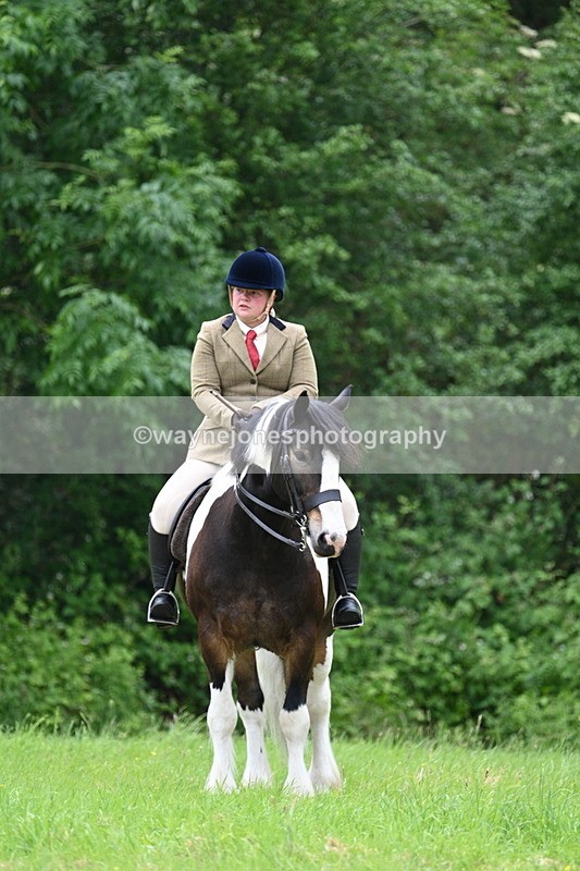 WJ7_2206 - Class 12A Coloured Class
