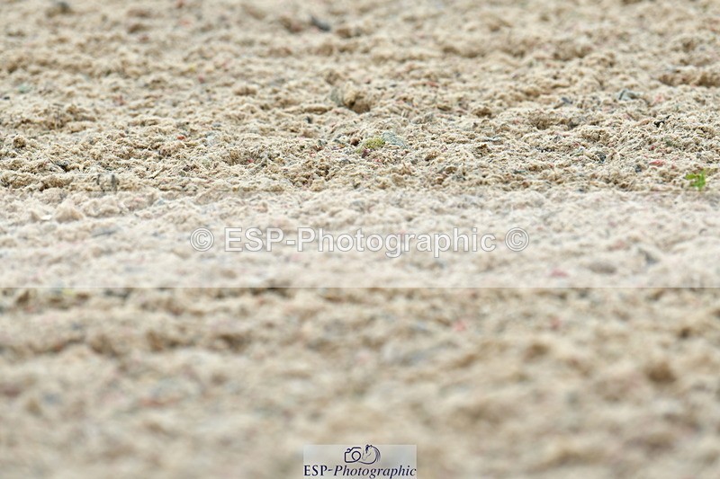 230708A-105419-02450 - Prelim 13