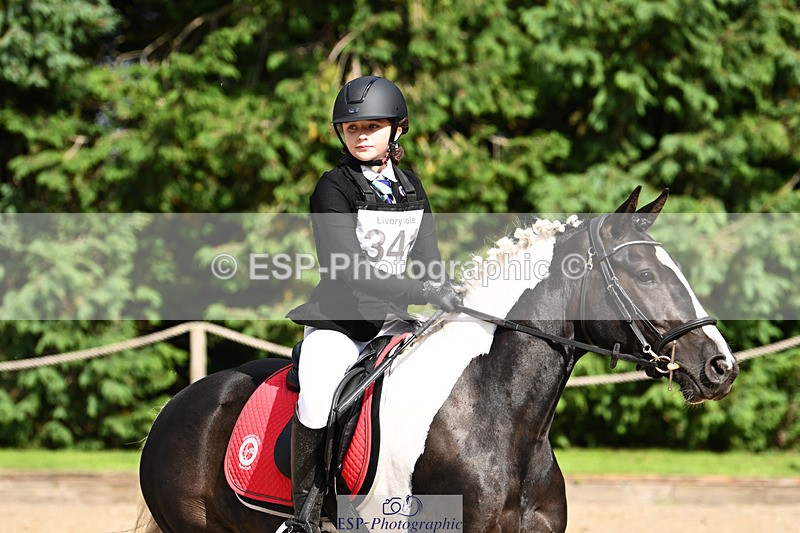 240824X-154121-29732 - 80cm Round 2 15.30 to 16.50