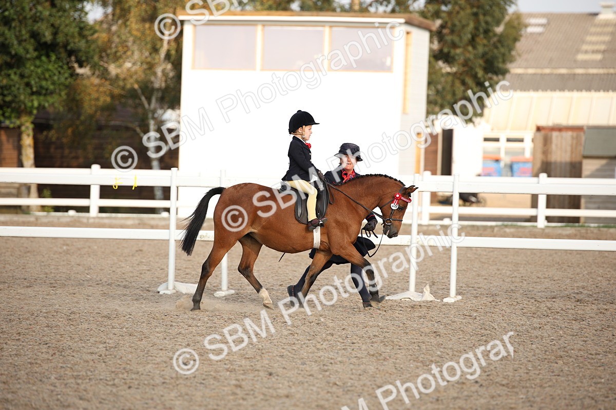 SBM_09201 - Regional Ridden Champ