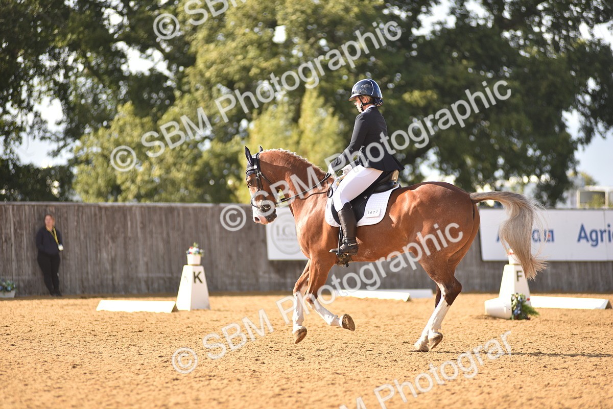 SBM_29578 - D16 -Small Tour Championship Novice 2