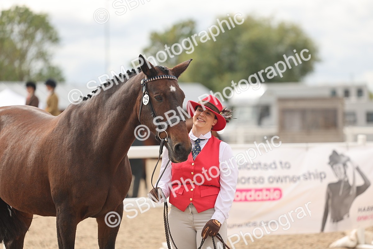 SBM_16984 - Class 312 - IH Competition Horse-Pony