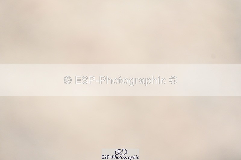 240323A-105153-01477 - DR Prelim 2