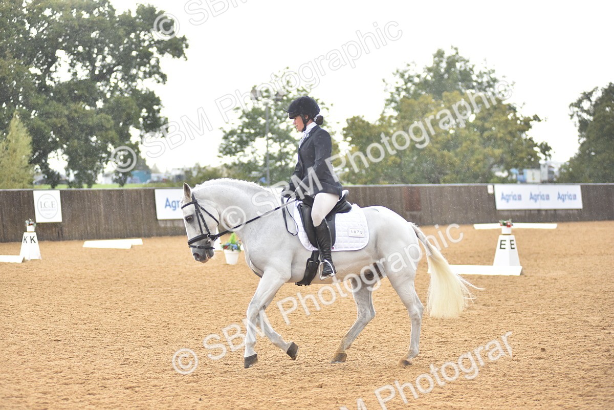 SBM_02075 - D7 - Small Tour Championship Prelim 2