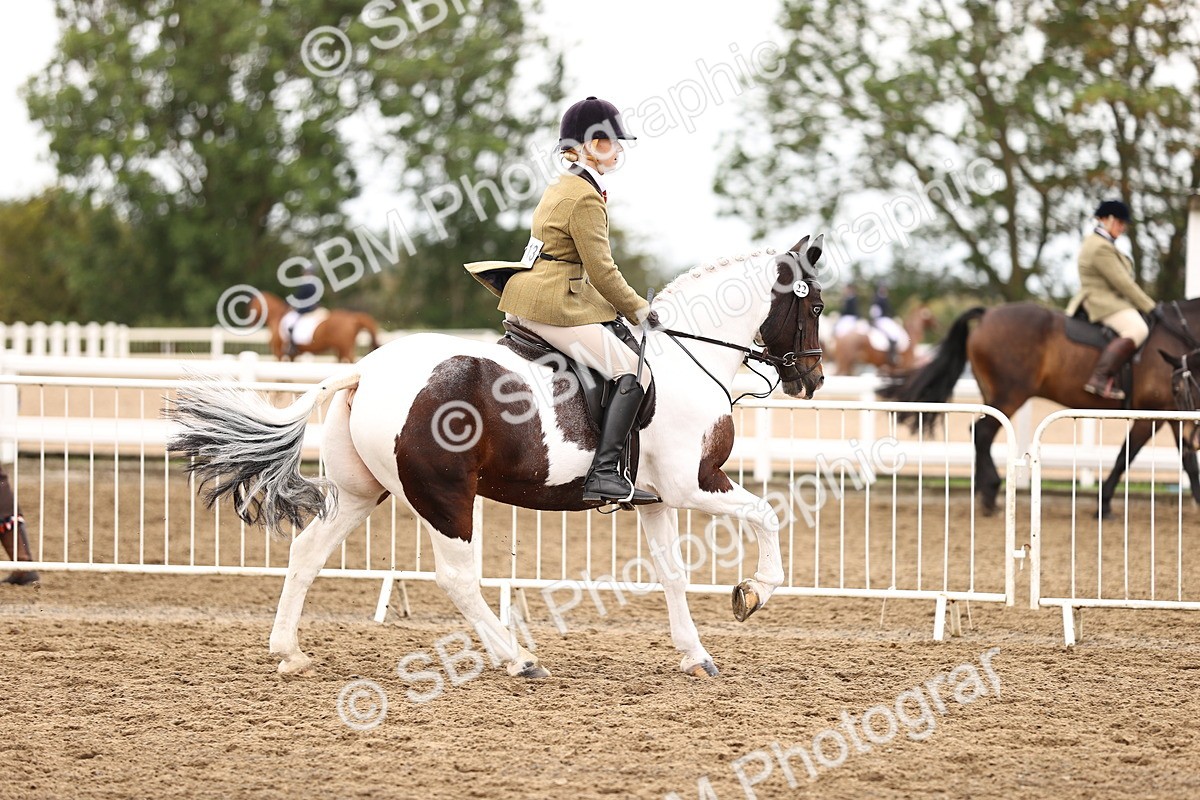 SBM_01421 - Class 54 - Riding Club Horse Pony