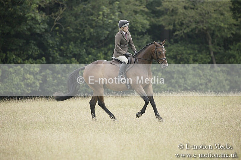 B230619-0419 - Bourne Valley Riding Club Summer Show 23/06/19