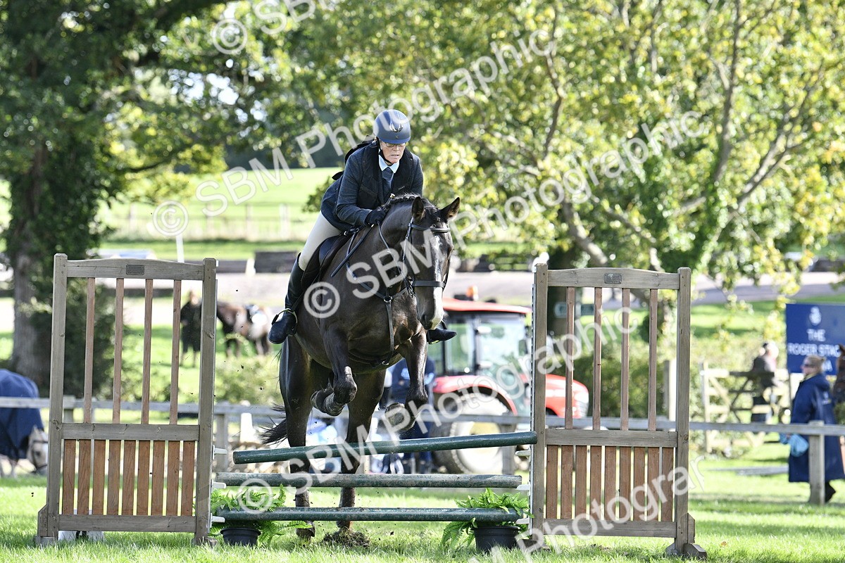 SBM_50034 - S34 - Novice & Newcomers Working Hunter