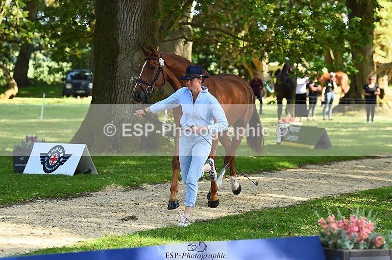 230524-164508-01065 - 113-I'M_A_WONDER-Rosie_Fry-WEDTrotUp+DR