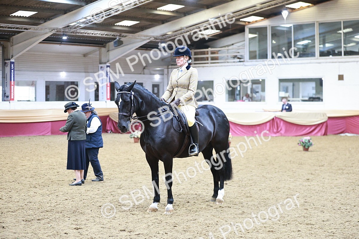 SBM_09004 - Class 12R - Regional Ridden Pre-Vet