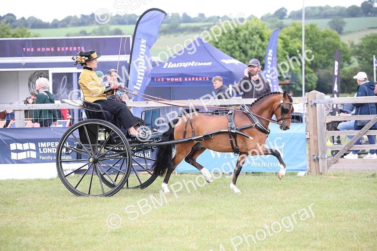 SBM_05826 - Class 12-15 - HOYS Private Driving
