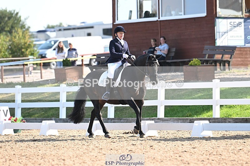 250816-093650-02935 - 084-Nicki.ReedWoodbank.Merlin