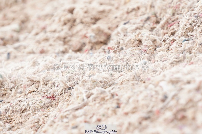 250622-135352-16075 - Cls 60 Freestyle PSG-Young Rider Inc Presentations