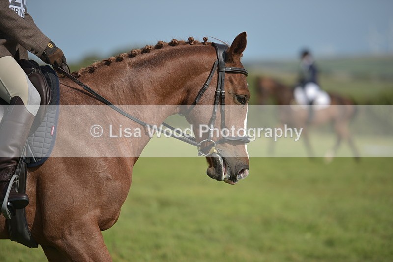 RAY_7866 - Class 2B: Trekenning Open: Dressage