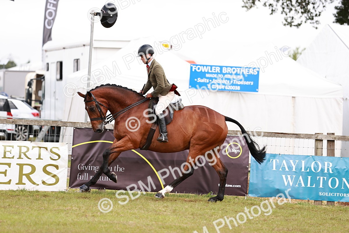 SBM_10790 - Class 81-84 - RIHS Ridden hunters Inc Ladies Hunter