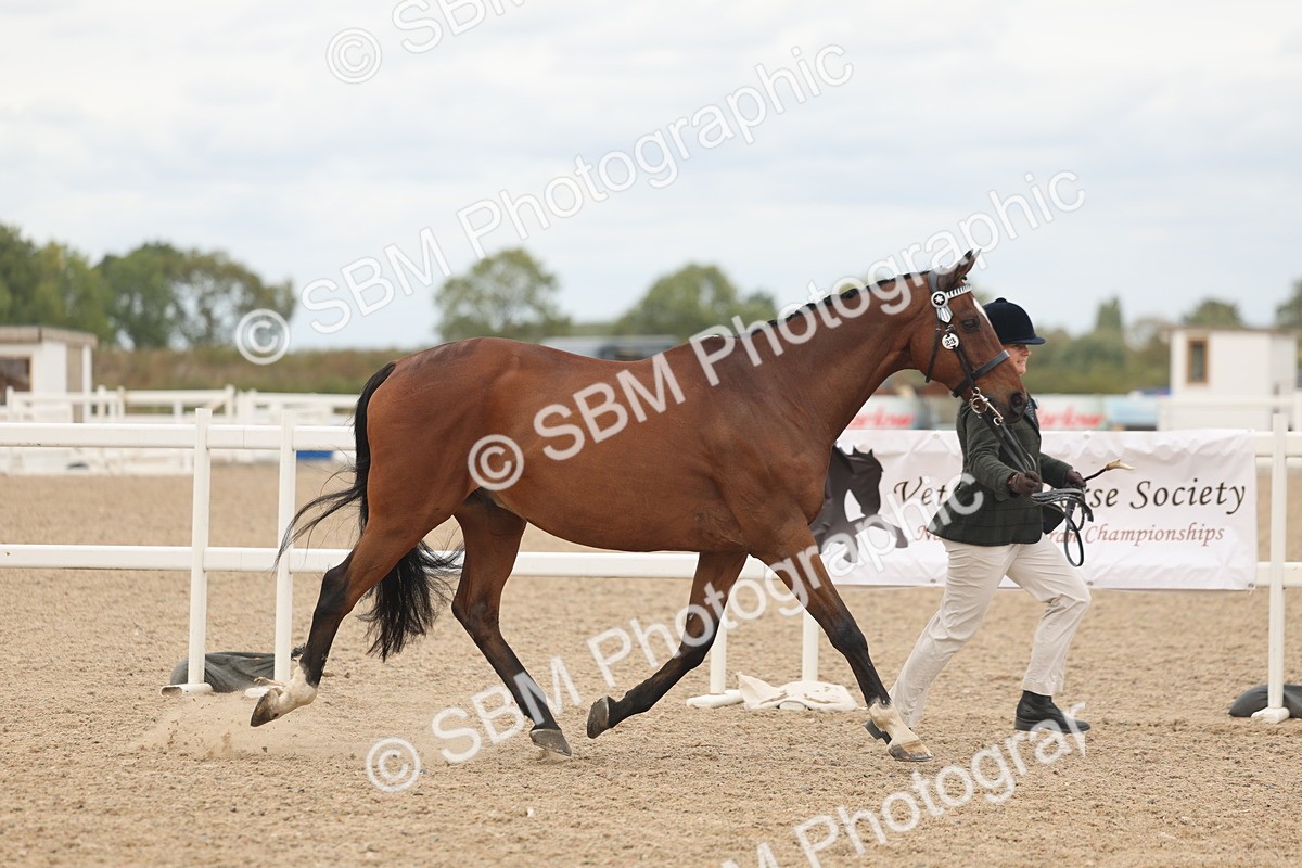 SBM_17040 - Class 313 - IH Retired Racehorse