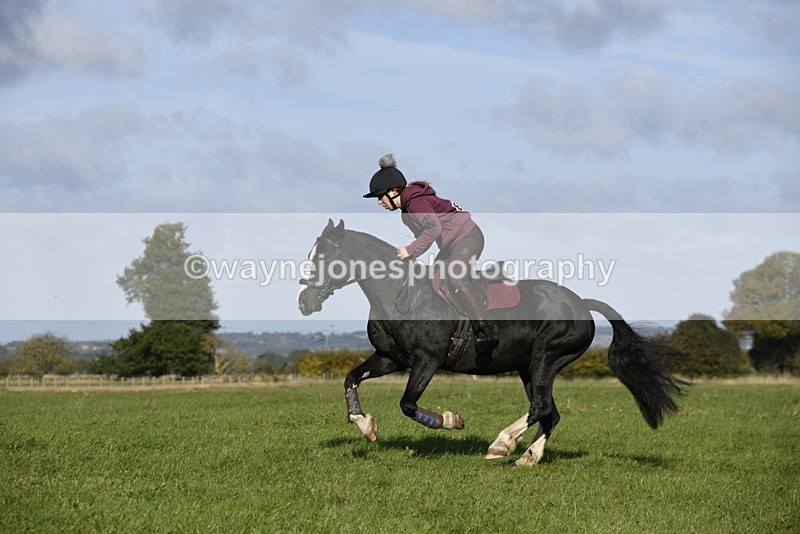 _DSC5223 - Time 10:27 to 10:48