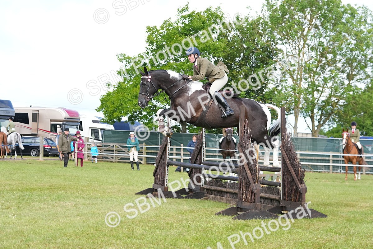 SBM_12876 - Class 99 - RIHS SEIB Working Show Horse