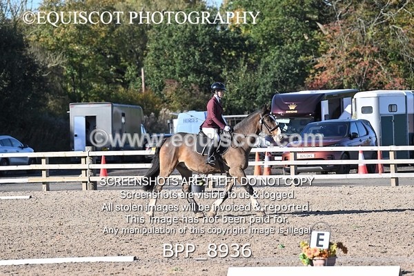 BPP_8936 - SHORT ARENA