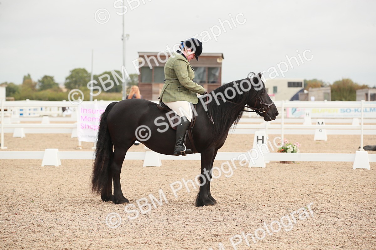 SBM_02559 - Class 30 - Intro 1