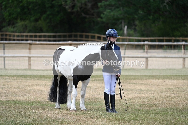 WJ7_1518 - Class 4 Prettiest Mare up to 14.2hh in hand