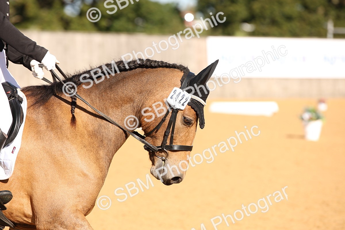 SBM_01897 - D2 Small Tour Championship Intro C