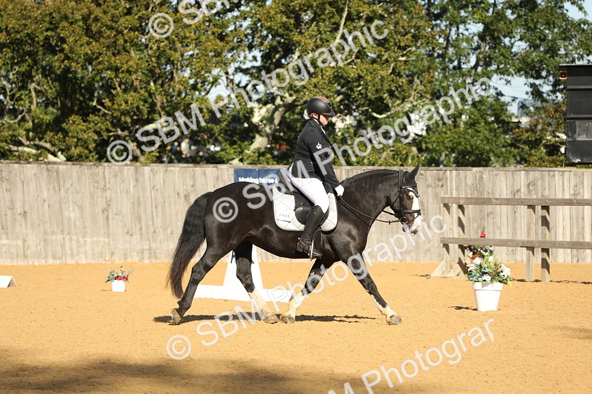SBM_37914 - D21 - Junior Championship - Intro A