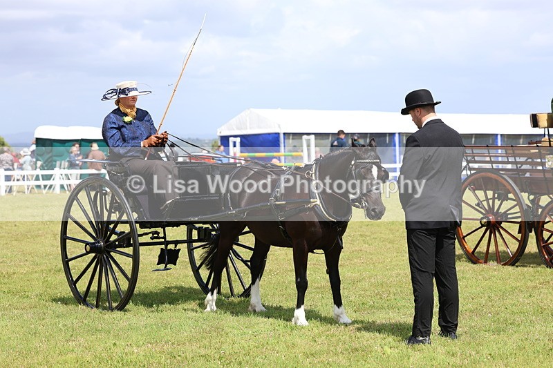 3E7A2763 - Class 12: Open Driving