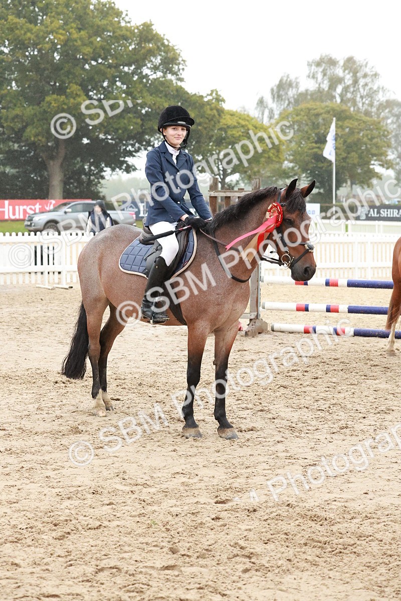 SBM_73557 - Supreme Championship Junior Pony 60cm & 65cm