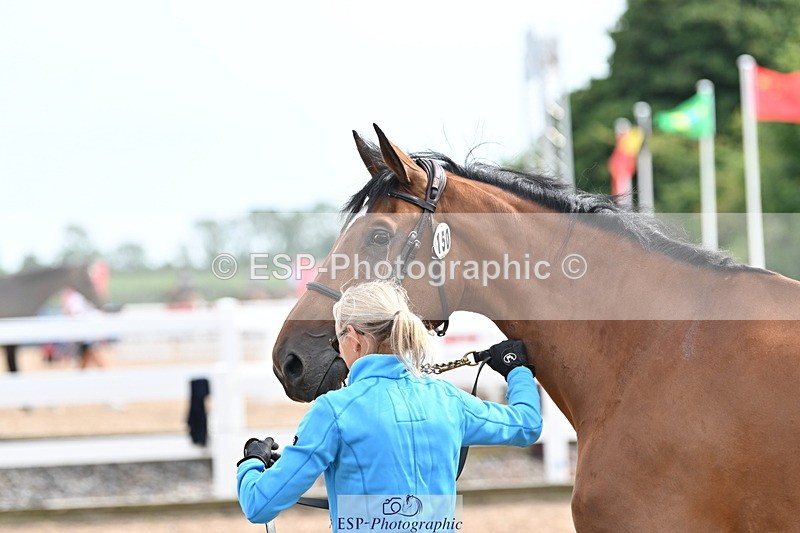 240717A-163701-03450 - Trot Up 4pm to 5pm