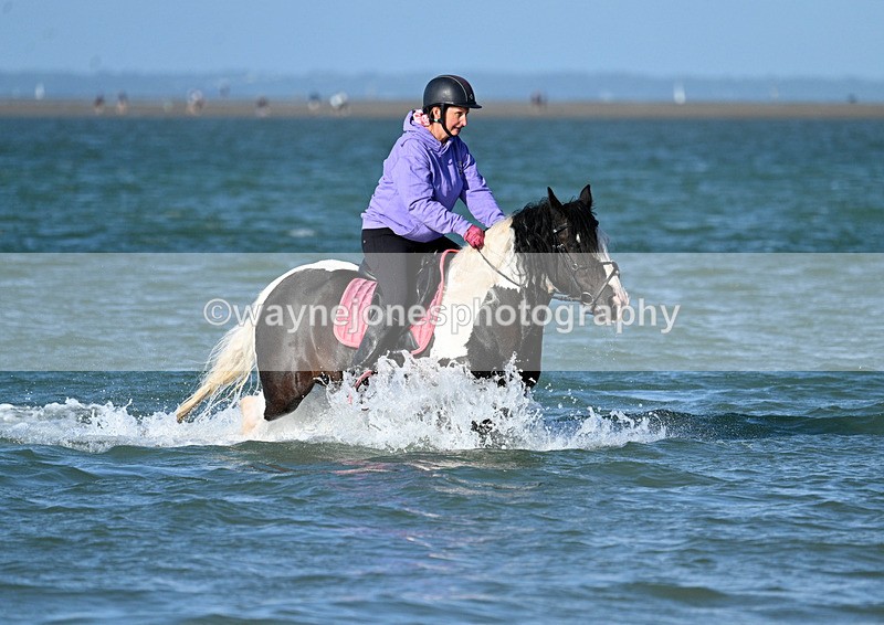 WJ7_3506 - Kellie & Churchill ... do Hayling Island 25-08-24