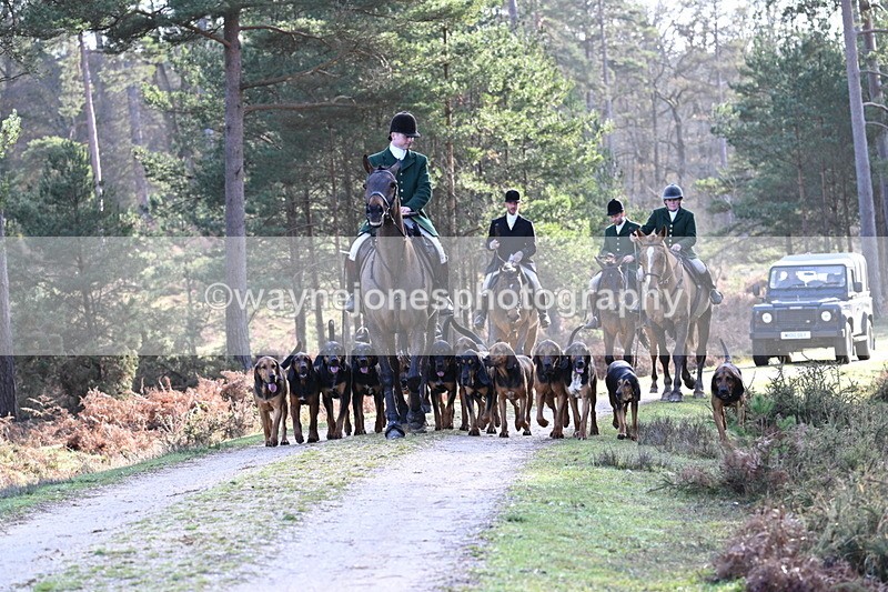 WJ7_7667 - Line 3 (no line 4 or 5)