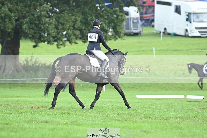 231020-094331-05737 - 464-IMPERIAL.TANGLE-Deborah.Burrell-DR