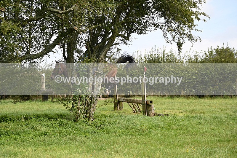 WJ6_7792 - Time 11:45 to 11:58