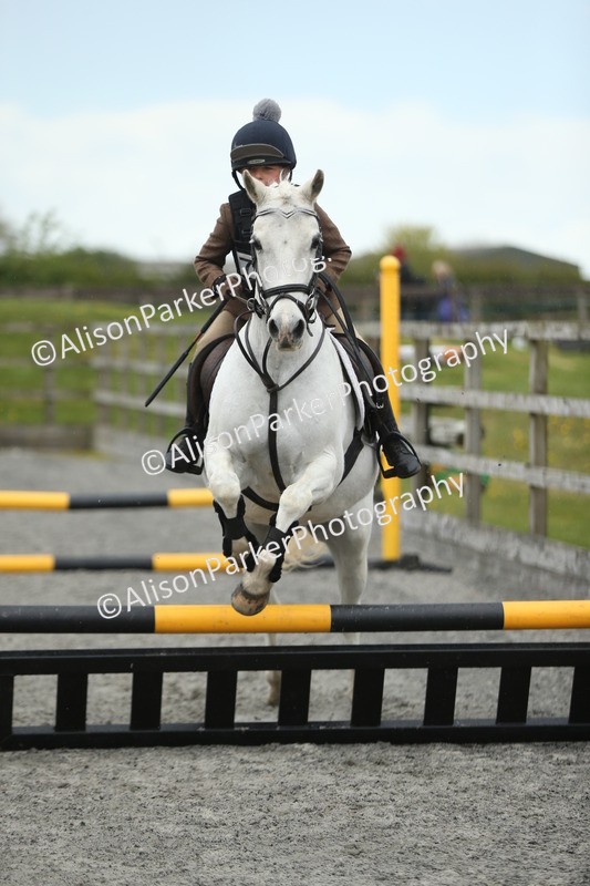 20260412-1868 - Show Jumping