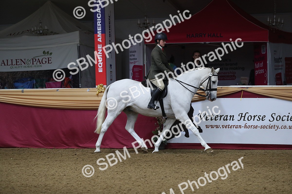 SBM_10325 - Class 102 Equitation (best rider) Adult