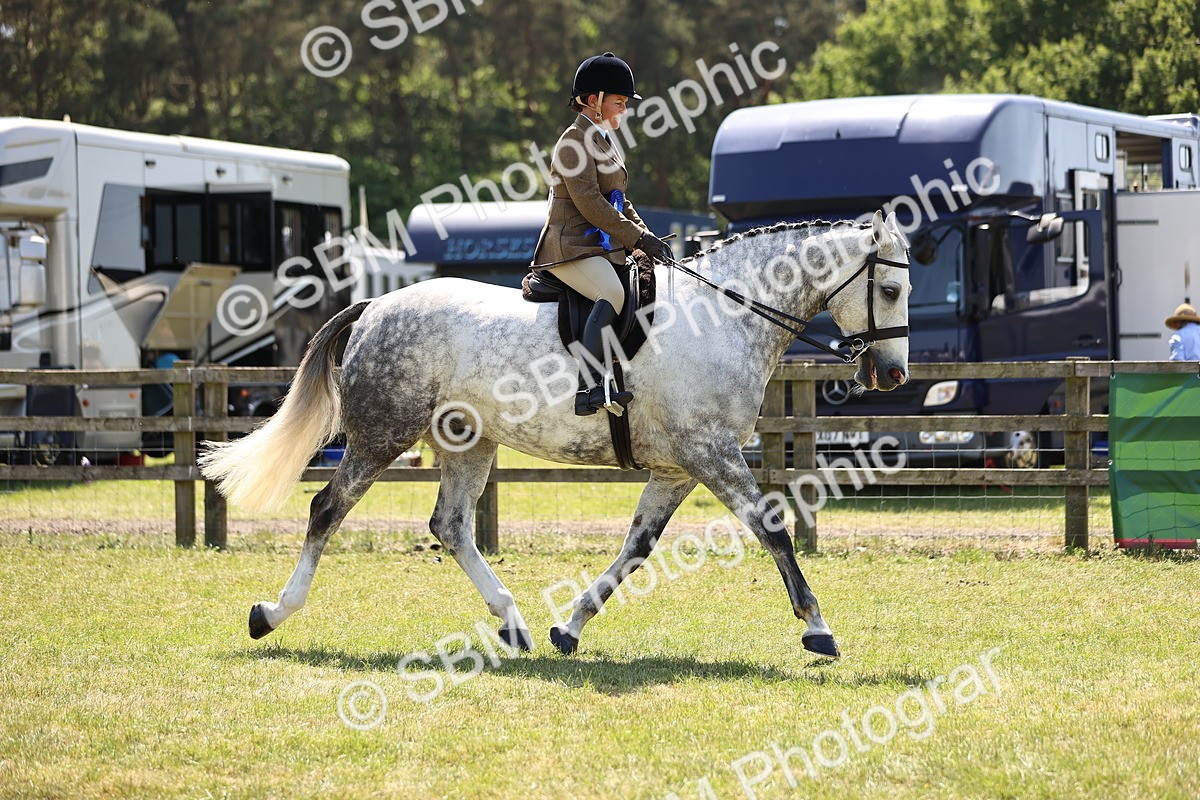 SBM_17801 - Class 81-83 - TSR Ridden Amateur of the Year - Horses