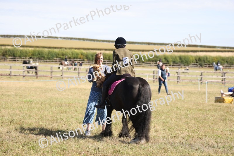 20260906-2183 - Class 16 - Family Pony