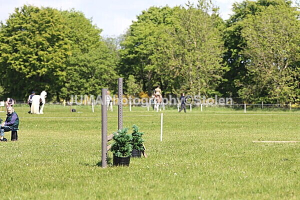 IMG_4013 - Working Hunter